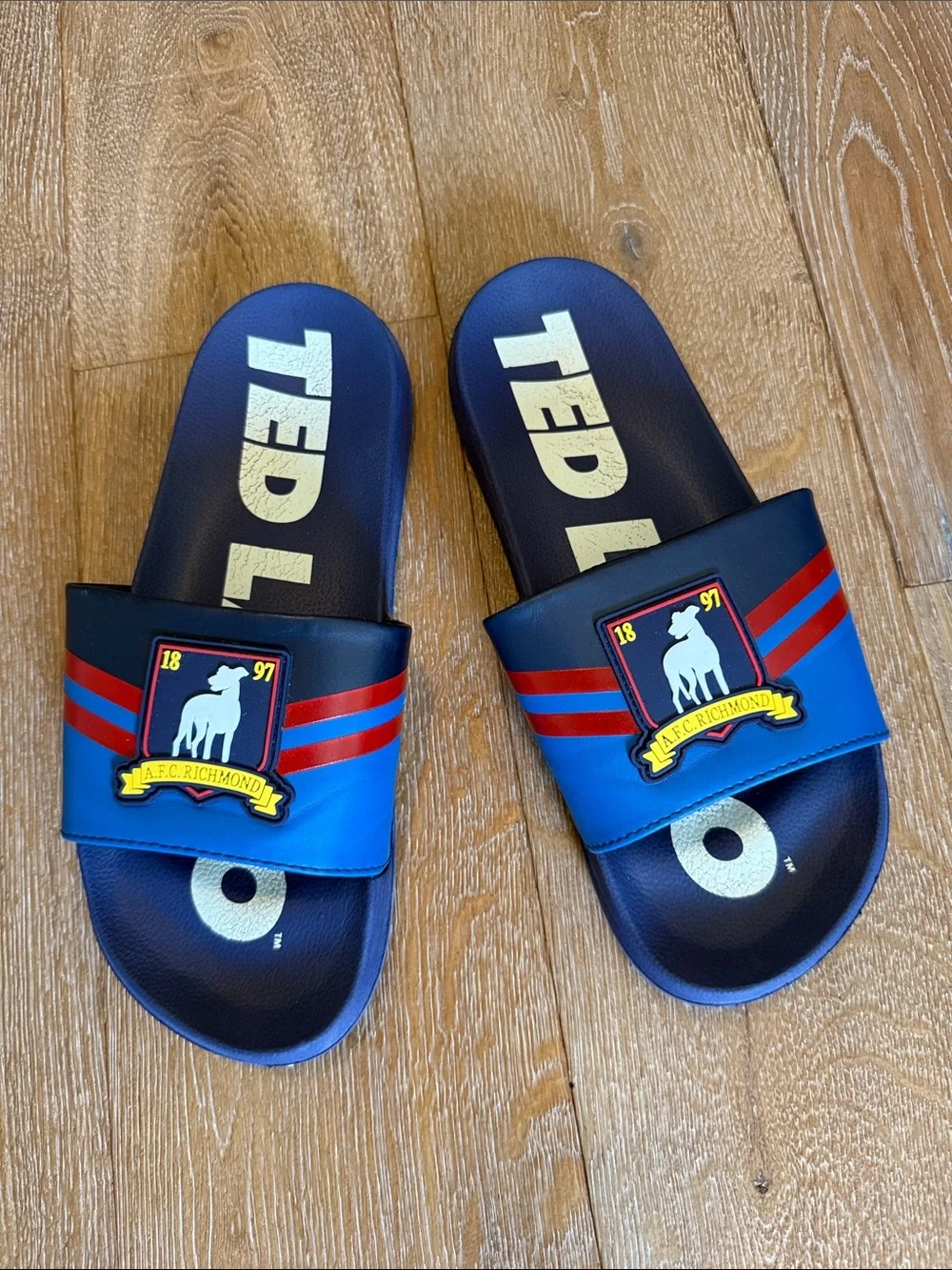 Men’s Ted Lasso AFC Richmond Blue Slide Sandals with Crest